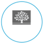 IDF
